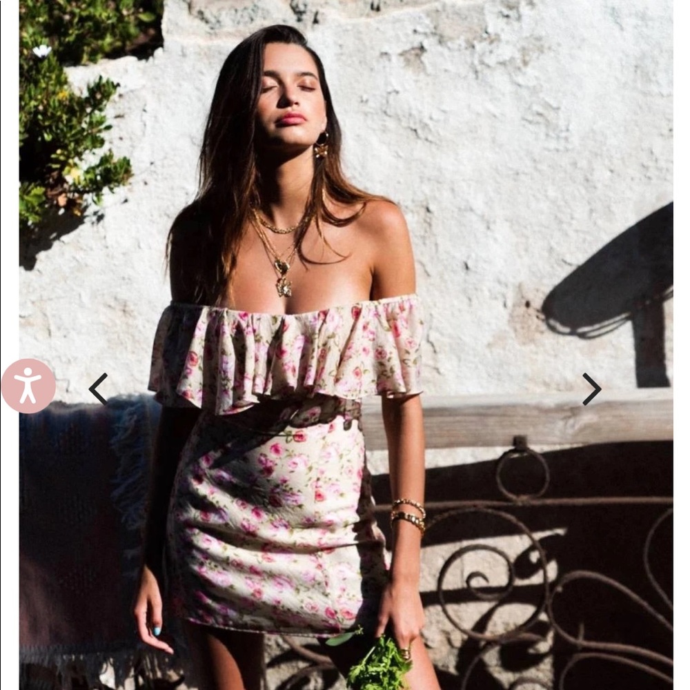 NWOT Vanessa Mooney Joelyn Pink Roses Dress
